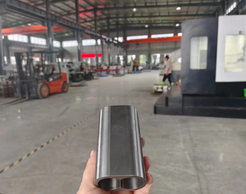 L'extrudeur est équipé d'un revêtement à manches conçu sur mesure pour des exigences d'extrusion uniques