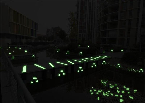 La mer lumineuse de conque écosse pour la décoration d'aquarium